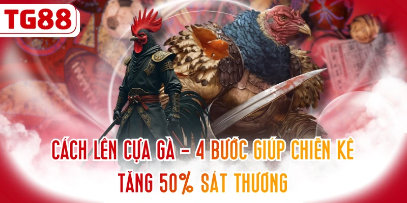 Cách Lên Cựa Gà - 4 Bước Giúp Chiến Kê Tăng 50% Sát Thương