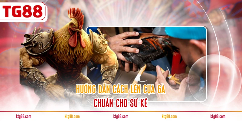 Hướng dẫn cách lên cựa gà chuẩn cho sư kê