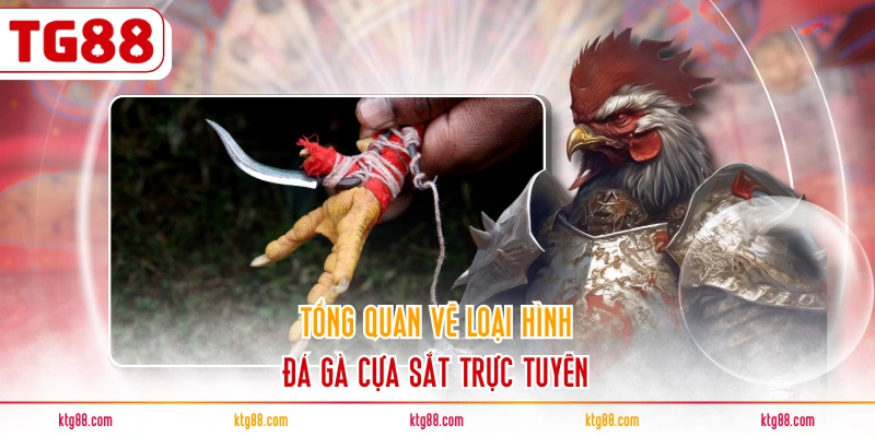 Tổng quan về loại hình đá gà cựa sắt trực tuyến